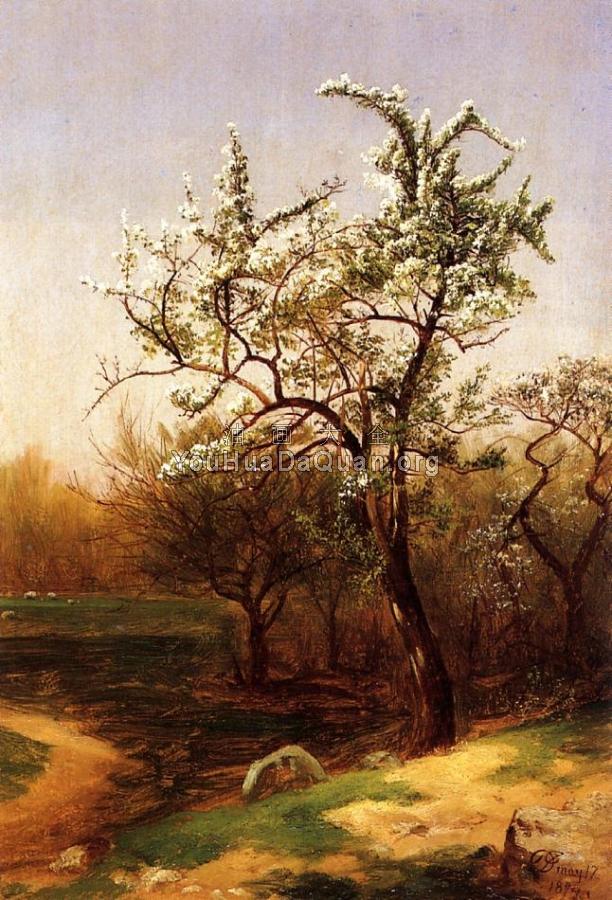 Pear Blossoms - 大卫·约翰逊